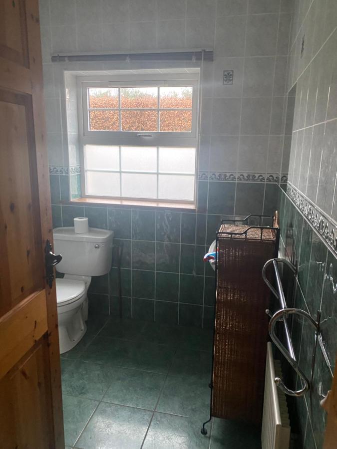 Dromkeal View Apartment Cork Kültér fotó